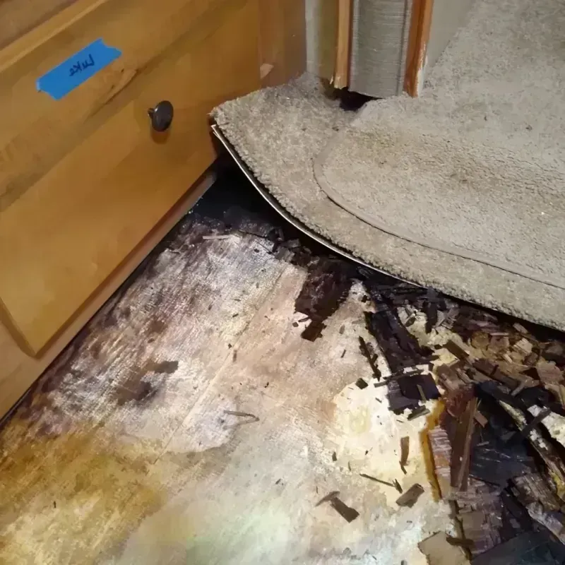 Best Wood Floor Water Damage Service in Montgomery, GA